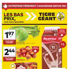  Tigre Géant