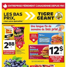  Tigre Géant