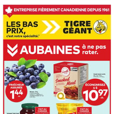  Tigre Géant