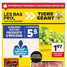  Tigre Géant
