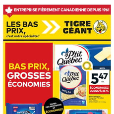  Tigre Géant