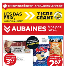  Tigre Géant