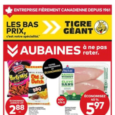  Tigre Géant