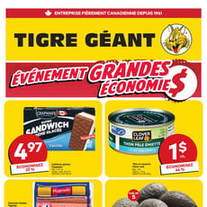  Tigre Géant