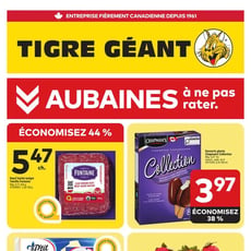  Tigre Géant