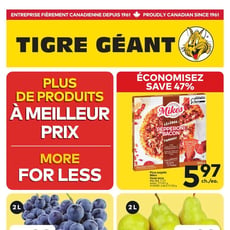  Tigre Géant