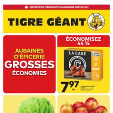  Tigre Géant