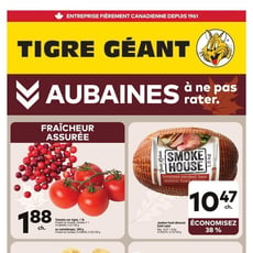  Tigre Géant