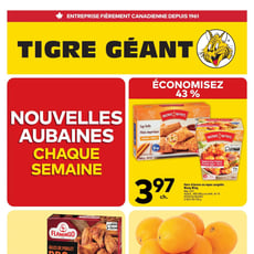 Tigre Géant du 21 au 27 octobre 2026