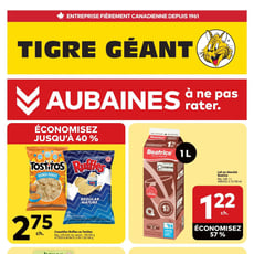 Tigre Géant du 28 octobre au 3 novembre 2026