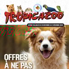  Tropicazoo