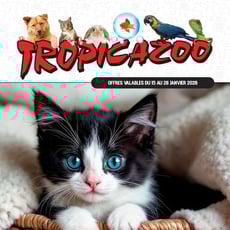 Tropicazoo