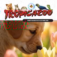  Tropicazoo