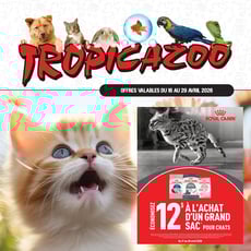  Tropicazoo