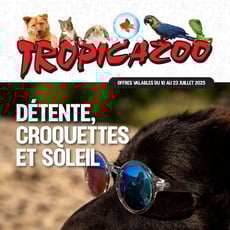  Tropicazoo