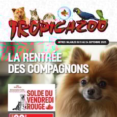  Tropicazoo