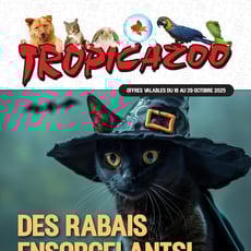  Tropicazoo