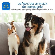  Walmart - Le Mois des Animaux de Compagnie