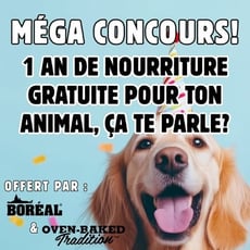 Concours Passion Animale : Gagnez une année de provisions gratuites!
