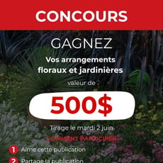 Participez et remportez 500$ en compositions florales et jardinières raffinées!