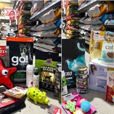 Participez pour remporter une récompense pour votre animal, gracieuseté de Paddock Animal & Co.