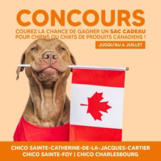 Participez pour remporter un élégant lot canadien pour chien ou chat!