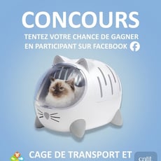 Concours : Remportez une cage de transport et lit d'exception Pixi Mio pour votre félin !