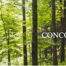 Participez pour remporter une retraite naturelle à Huttopia Sutton !