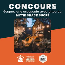 Participez pour remporter une évasion pour deux personnes et votre chien!