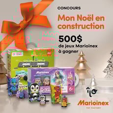 Participation au concours Hamster + Le Papetier Le Libraire : Mon Noël en préparation !