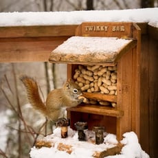 Concours Les deux loutres - Remportez un séjour mémorable de 2 nuits dans notre somptueux chalet!