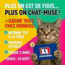 Participez au Concours Patrichats et remportez une carte cadeau MONDOU de 100 dollars !