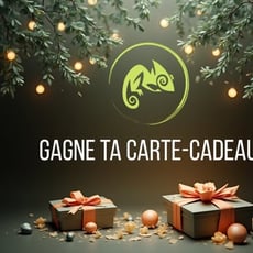 Concours ProNettoie – 300$ EN CARTES-CADEAUX À REMPORTER !