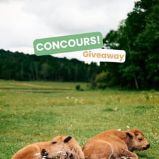 Concours : Remportez une entrée familiale pour le Parc Oméga !