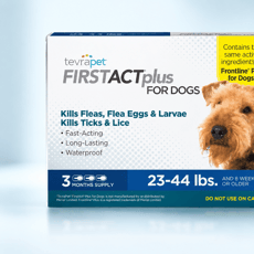 Découvrez gracieusement les colliers ou pipettes antiparasitaires pour chiens de TevraPet.