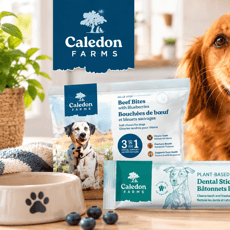 Échantillons gratuits de gâteries naturelles pour chiens Caledon Farms