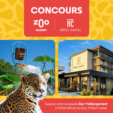 Participez au concours pour remporter une évasion familiale au zoo et à l'Hôtel Castel!