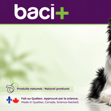 Recevez une trousse d’essai gratuite de probio+ Vivoflora pour votre animal