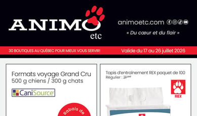  Animo etc