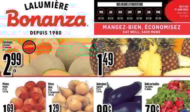  Bonanza