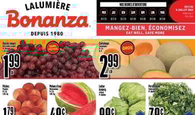  Bonanza