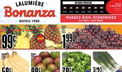  Bonanza