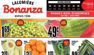  Bonanza