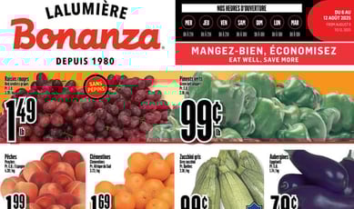  Bonanza