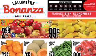  Bonanza