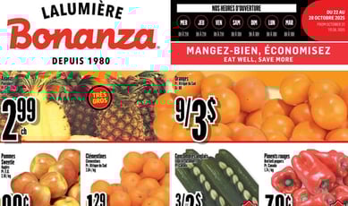  Bonanza