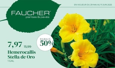  Faucher - Plantes et Pavés