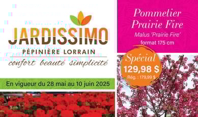  Jardissimo