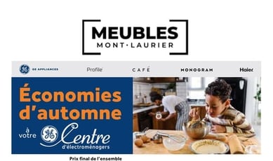 Meubles Mont-Laurier