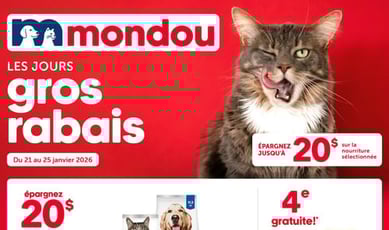  Mondou
